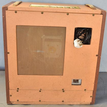 Bird-Golden Eagle 4/25 amp AS SEEN